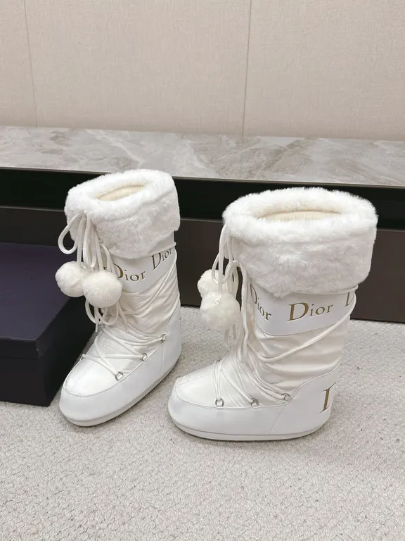 Dior Shoe 